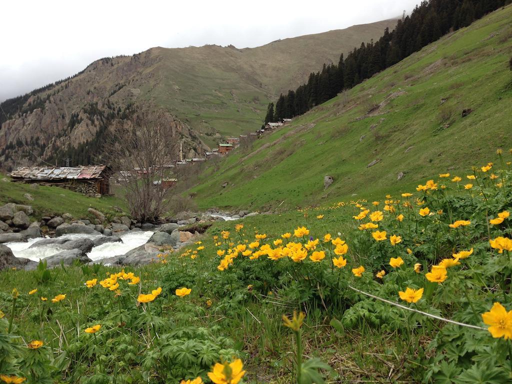 Yedigoller Hotel & Restaurant Uzungol Exterior photo